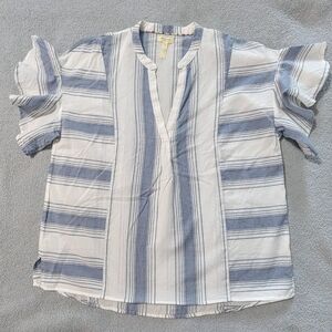 Striped Blue and White Blouse
